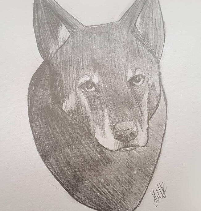 Commission for M. (Commission via RSPCA Fundraiser, Watercolour and ink pens on paper, 2020)